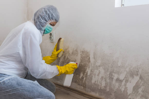 Best Certified Mold Removal  in Richmond, VA