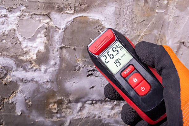 Best Commercial Mold Removal  in Richmond, VA
